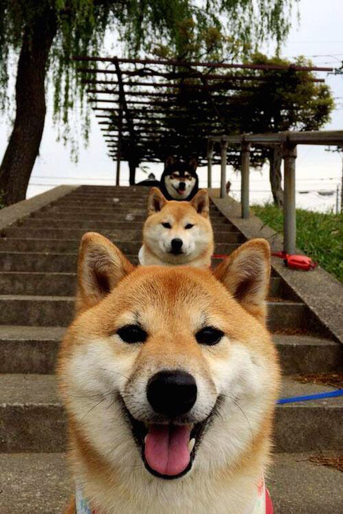 英超裁判基于语义分析技术提升比赛判罚一致性研究,英超裁判有哪些