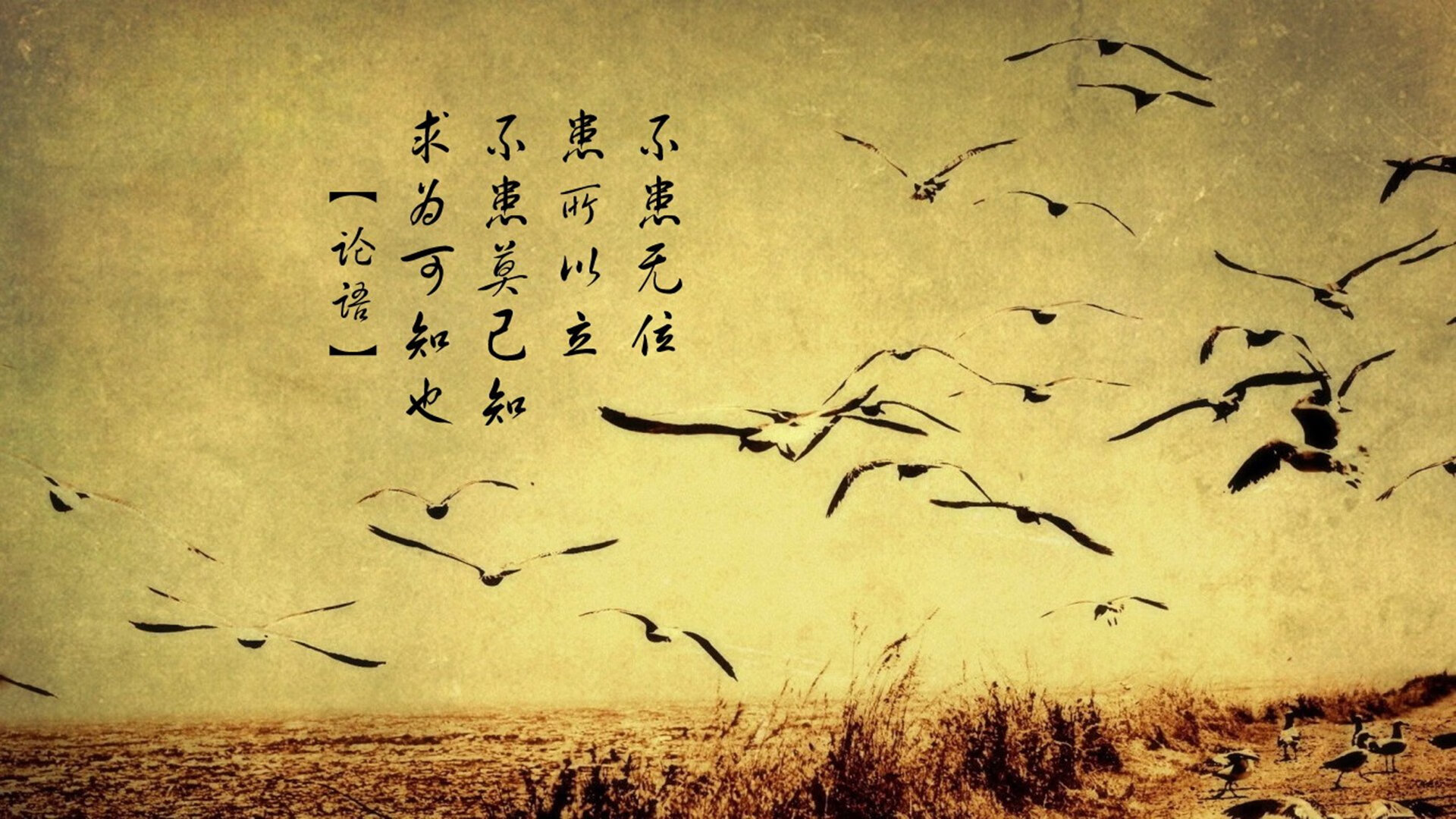 开云体育登录-“中国泳坛新星彭尤：蝶泳自由泳双项进步神速”