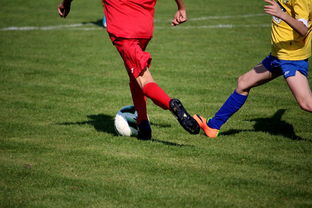 开云体育app入口-“拳王争霸：四川省体育馆拳击赛将诞生新的世界拳王”