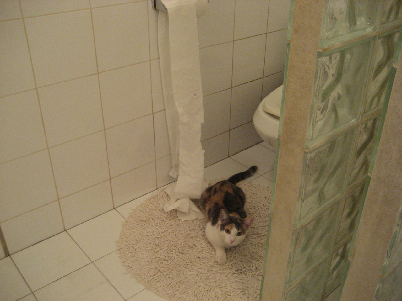 “拳王争霸:四川省体育馆拳击赛将诞生新的世界拳王”