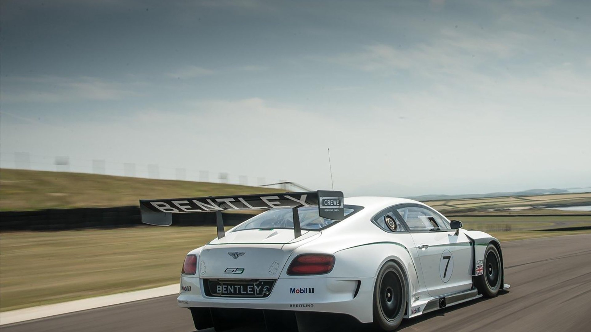 开云体育平台-“顶级马拉松选手亮相武汉，赛场惊现新纪录”