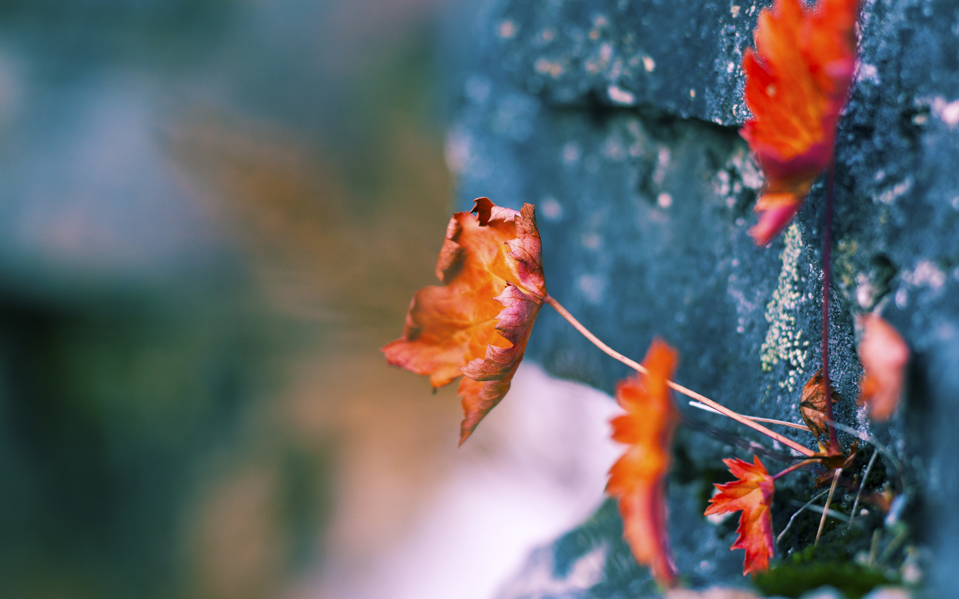 中国三人篮球男队提升协同防守意识,三人篮球中国队队员