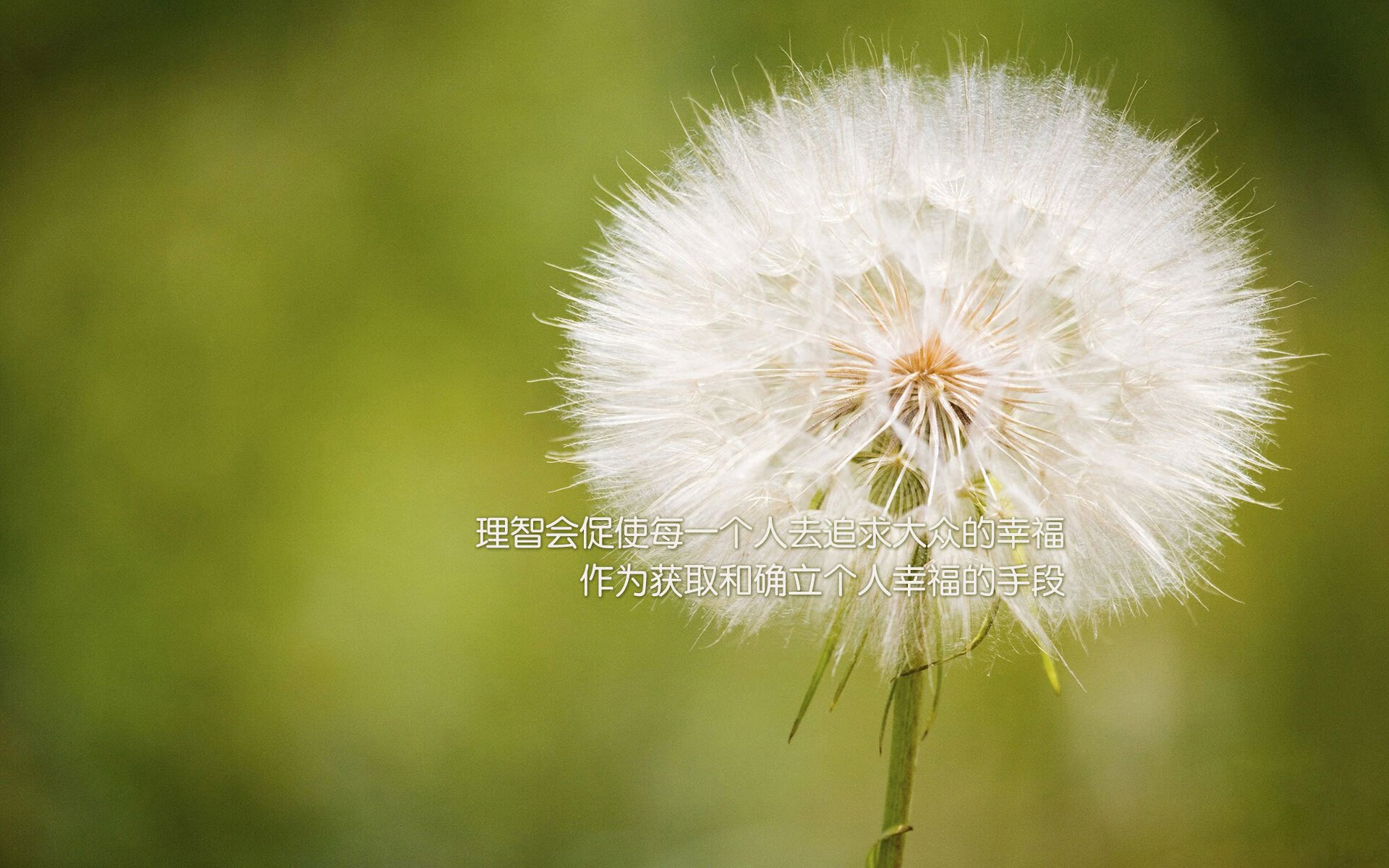 印度乒乓队未来:从世界大赛到奥运梦想的进阶之路,印度乒乓球强吗