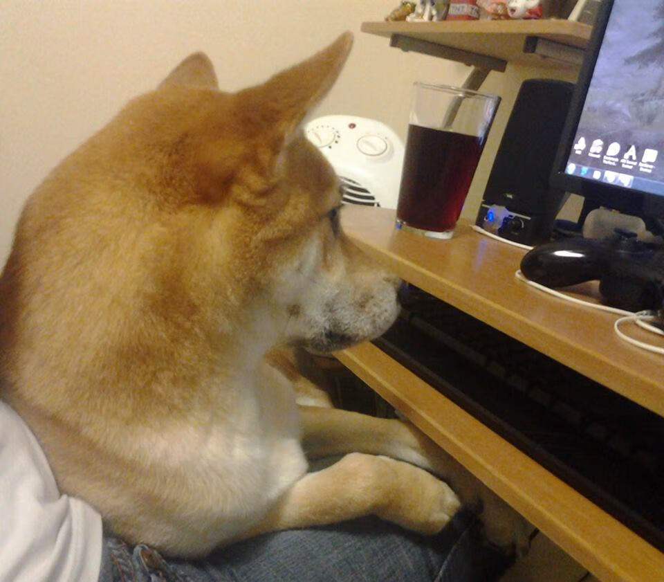 德国队如何利用赛制优势争夺国际乒联混合团体世界杯桂冠,德国队乒乓球怎么样