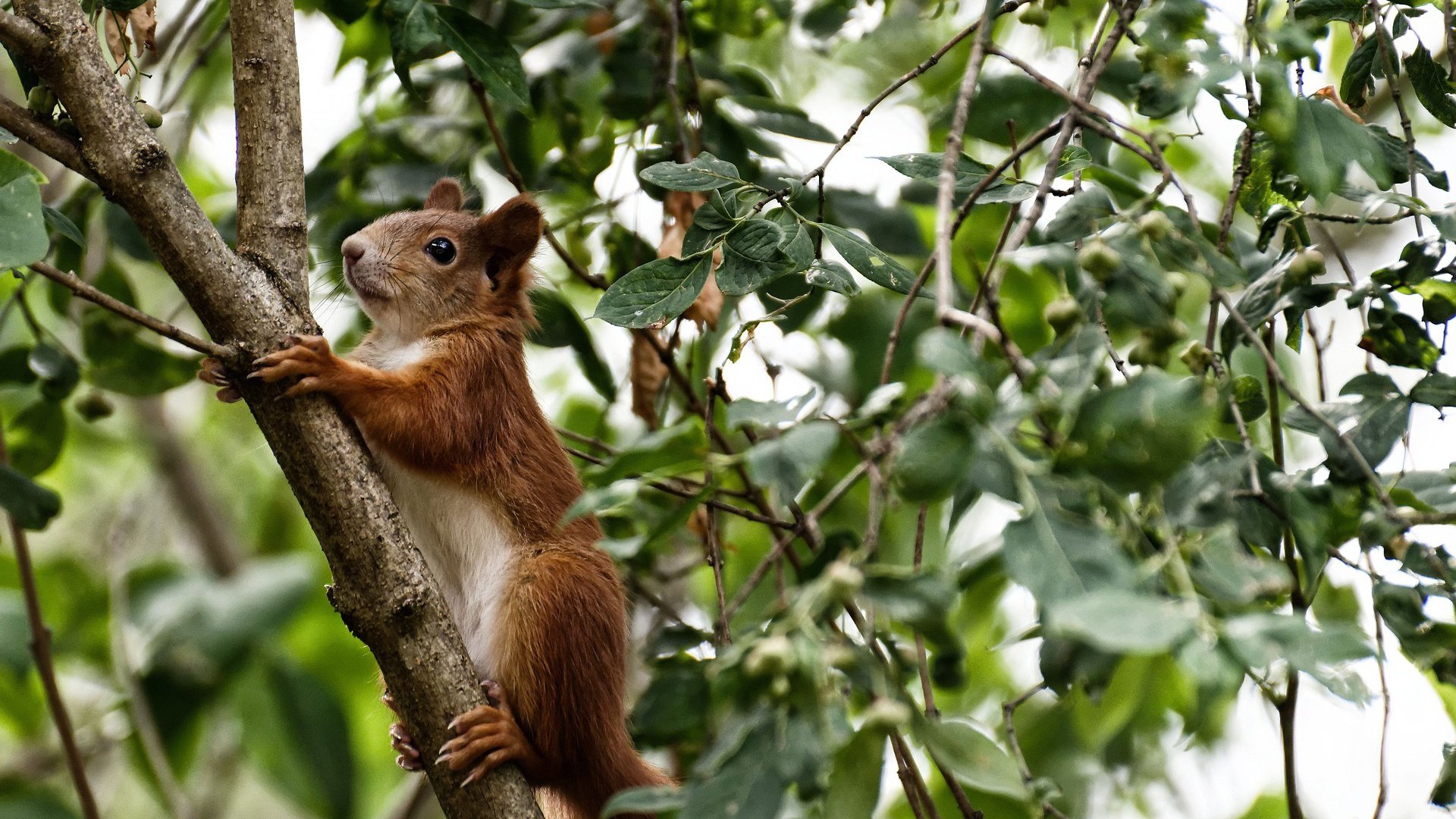 网球大师赛上海站即将开赛,网球大师赛 上海