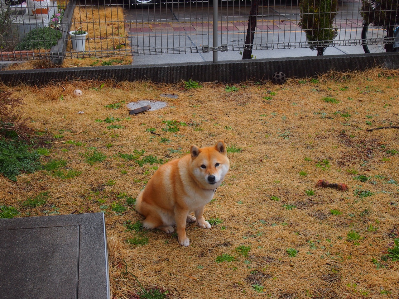 开云体育app下载-西班牙男队未来发展潜力巨大，西班牙男子足球队名单