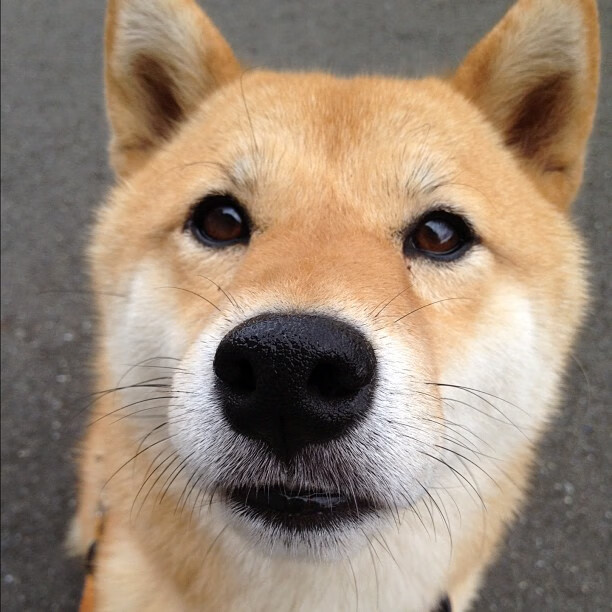 足球赛场赛事安全管理全面加强,足球赛安全注意事项