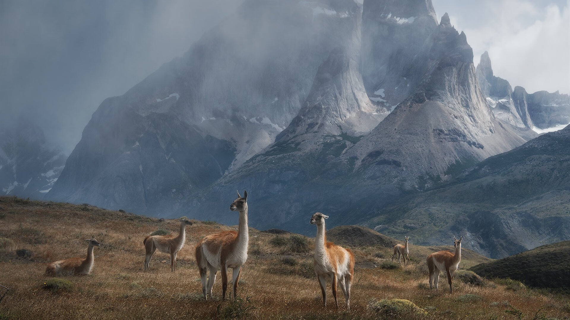 开云体育app-“胡利安·门德斯：阿根廷美洲狮队的新兴力量，未来闪耀”