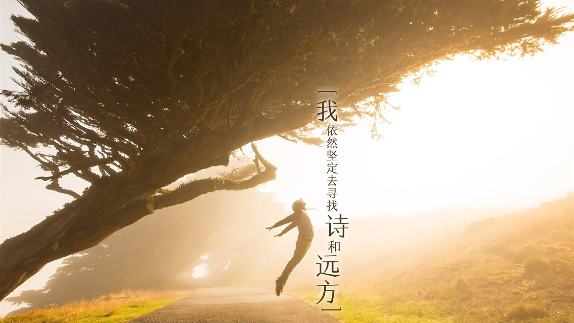 万乐天决赛发挥成大赢家,万乐天 游泳