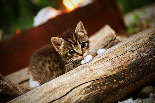 世界杯精彩瞬间:每一秒都让人心跳加速,世界杯名场面