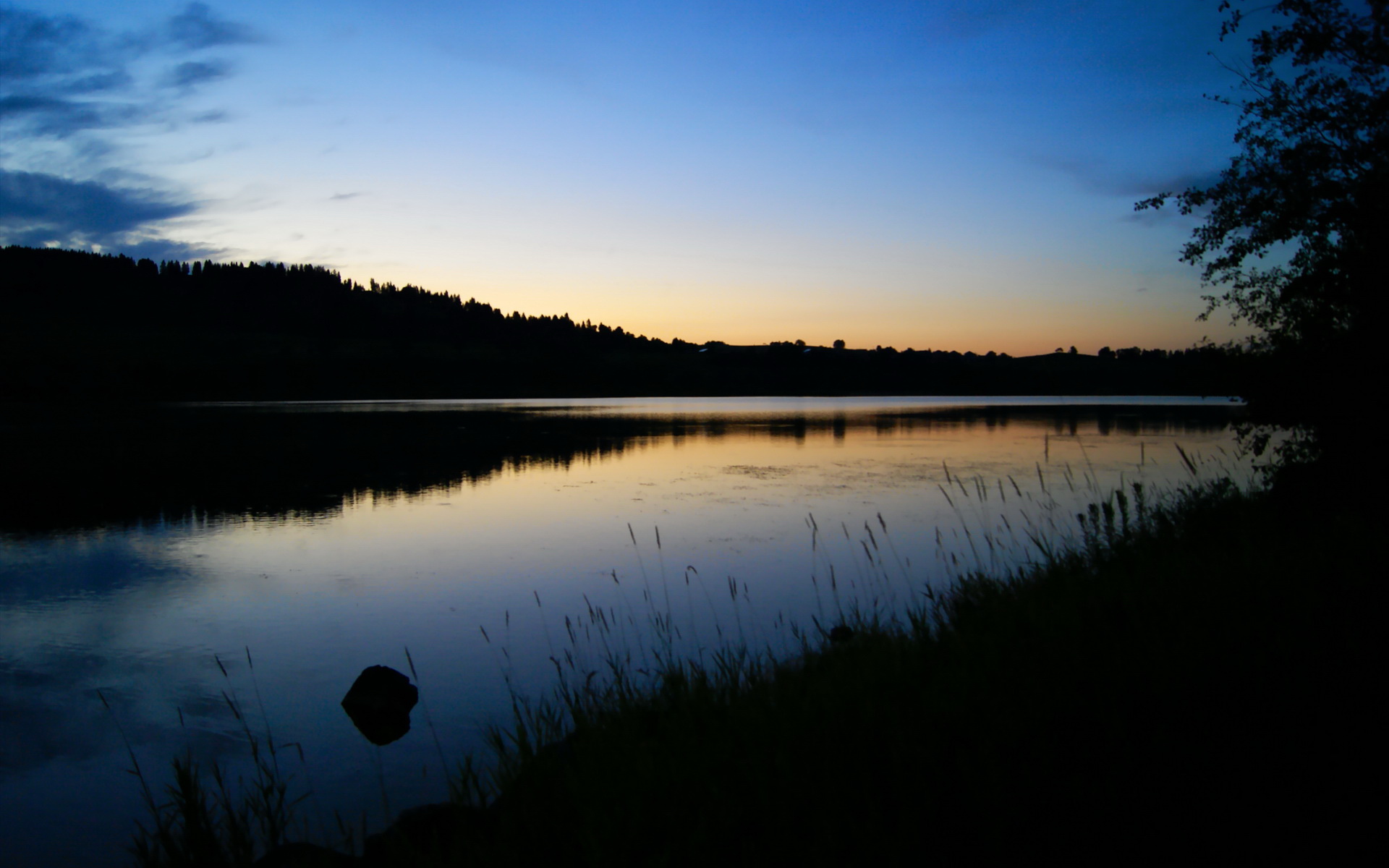开云体育官网app-伊丽莎白·德克斯泳池内外双重突破，伊丽莎白.德比茨