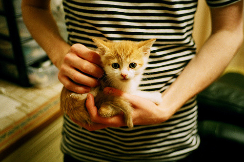 开云app-威少强调比赛专注是决定胜负关键，威少的技术