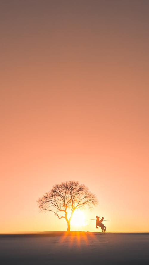 小组赛对阵法国连续胜出,士气回升,法国队小组出线