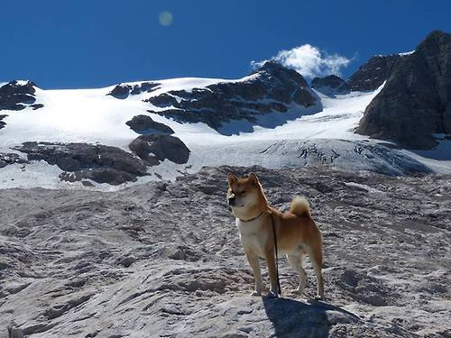 库里末节三分命中帮助勇士锁定胜局,库里第三节23分