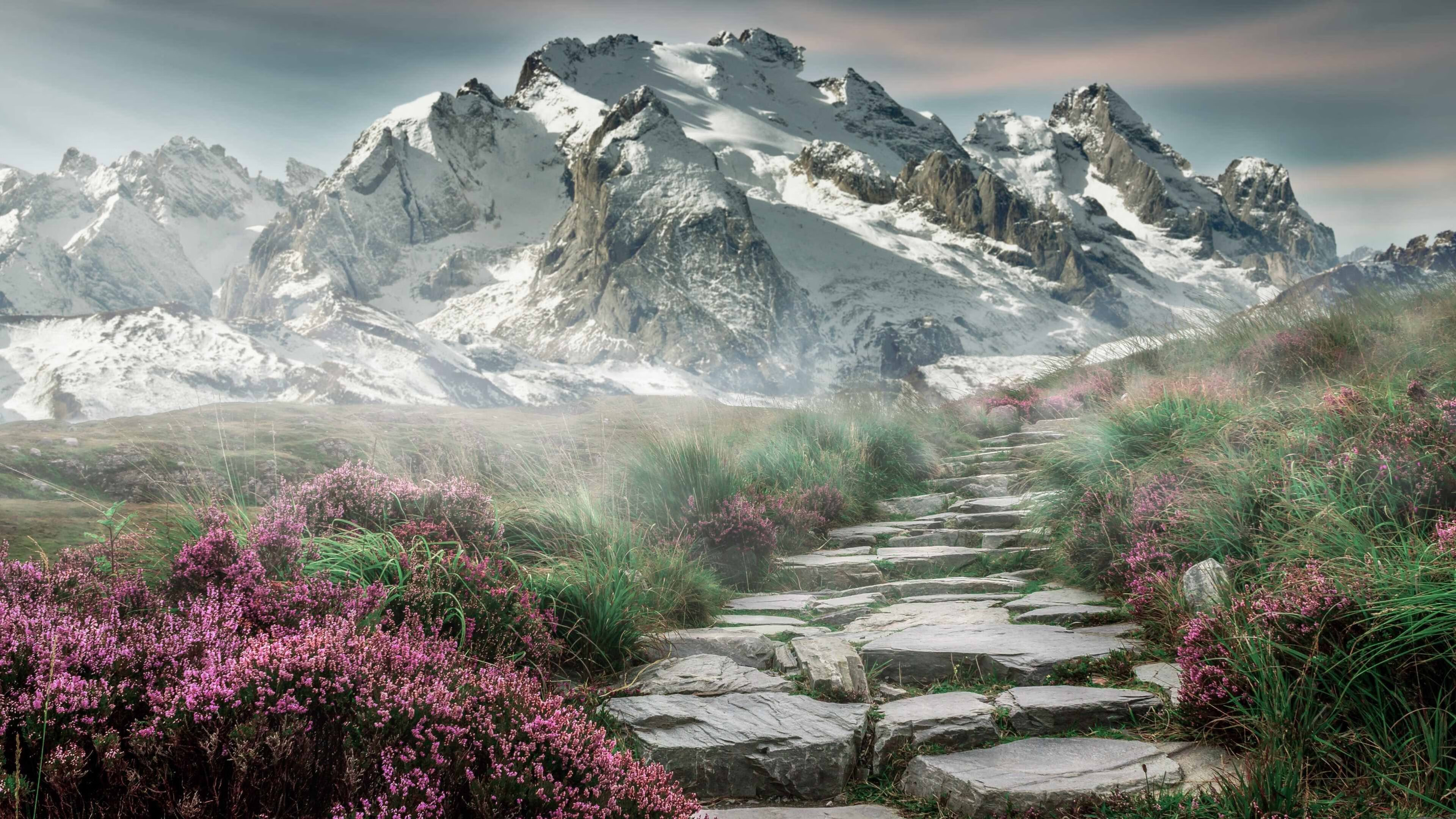 开云ky官网-拉恩：全黑队外线的“火力点”，突破能力和加速能力无敌