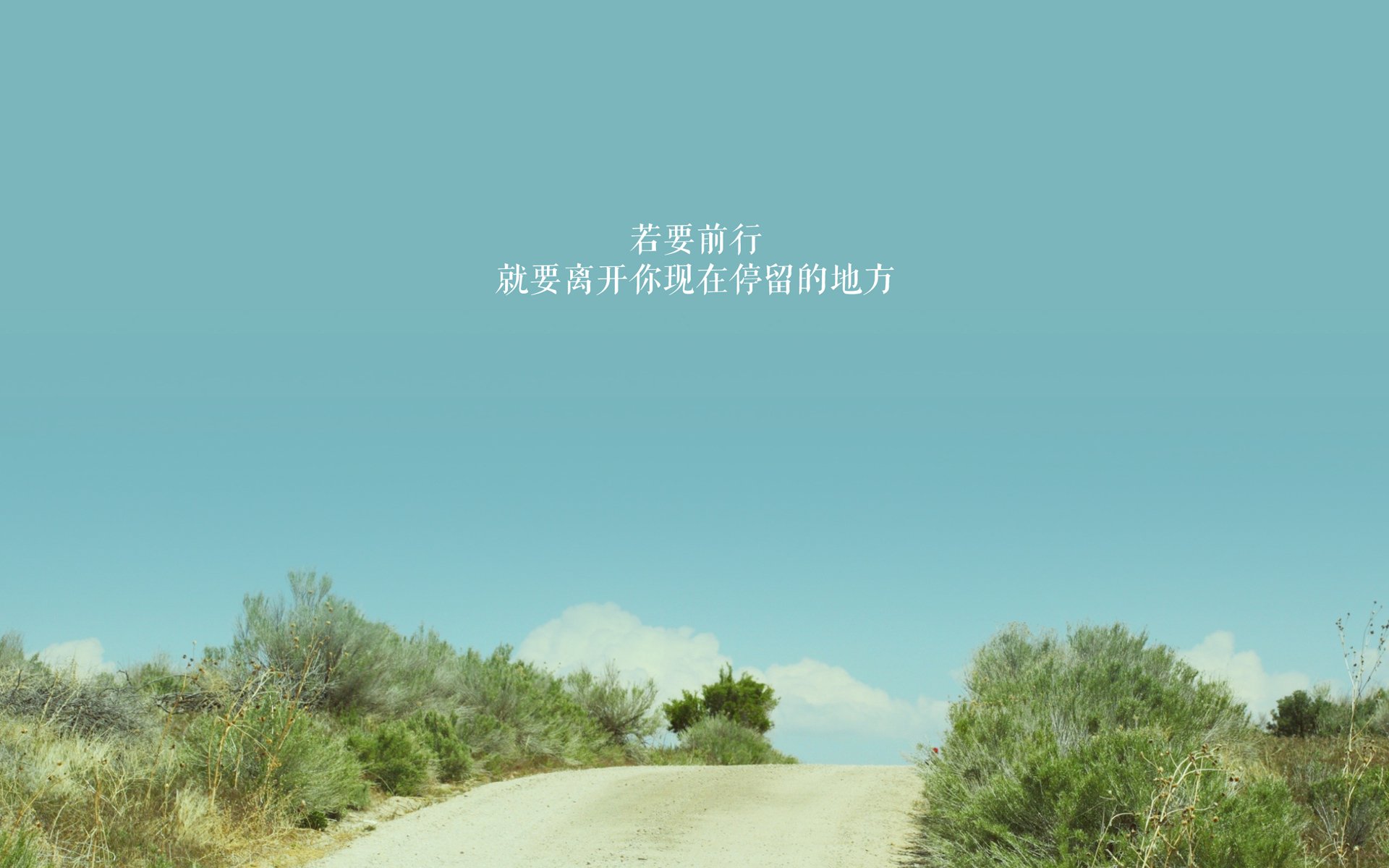 森林狼队医讲解球员身体管理细节,森林狼球员数据