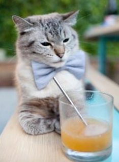 kaiyun开云体育-特色足球文化在国际博览会上亮相，推进文化交流与合作，足球文化馆