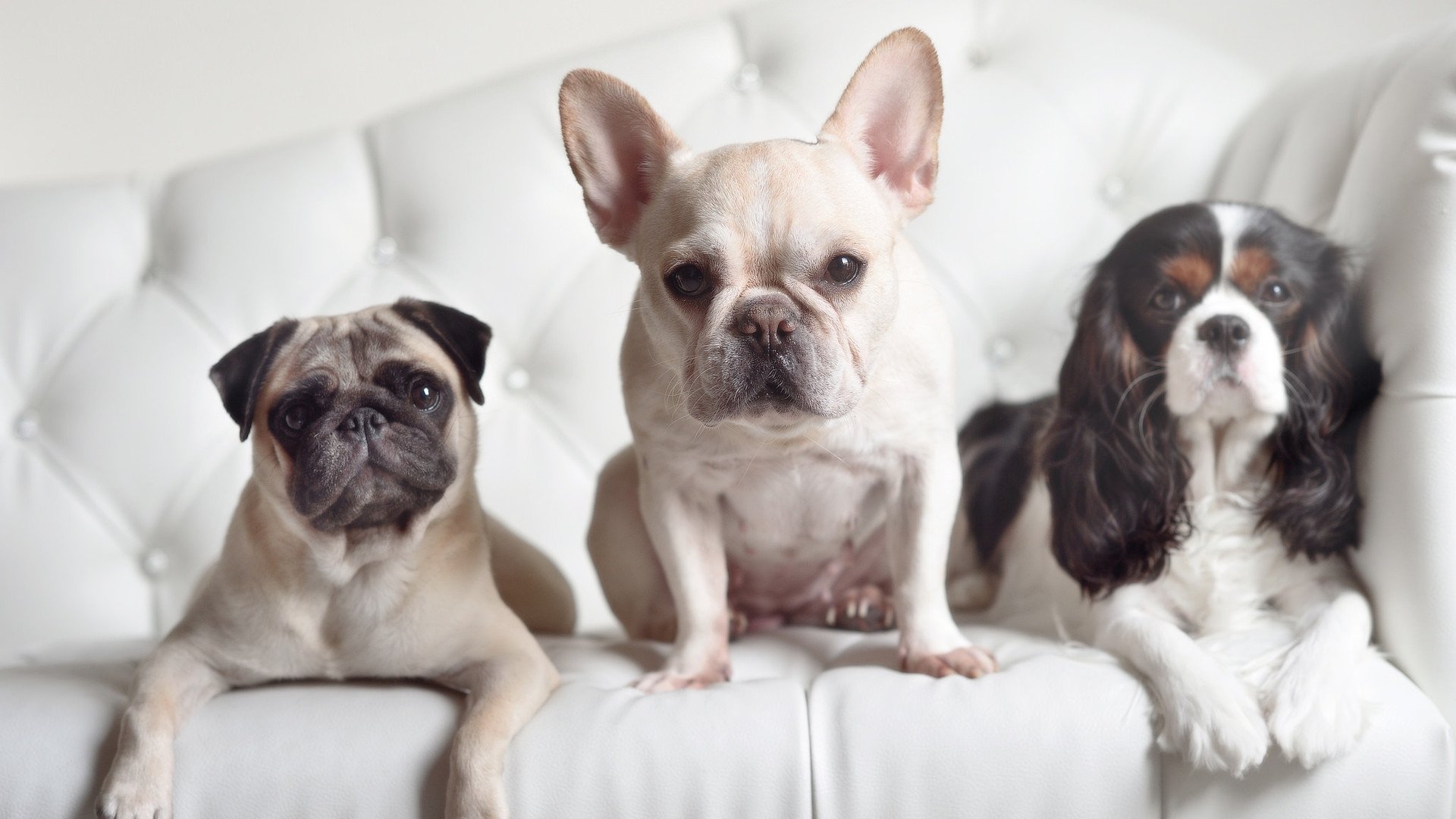 电子竞技场馆改造项目获专项资金支持,电竞场馆建设