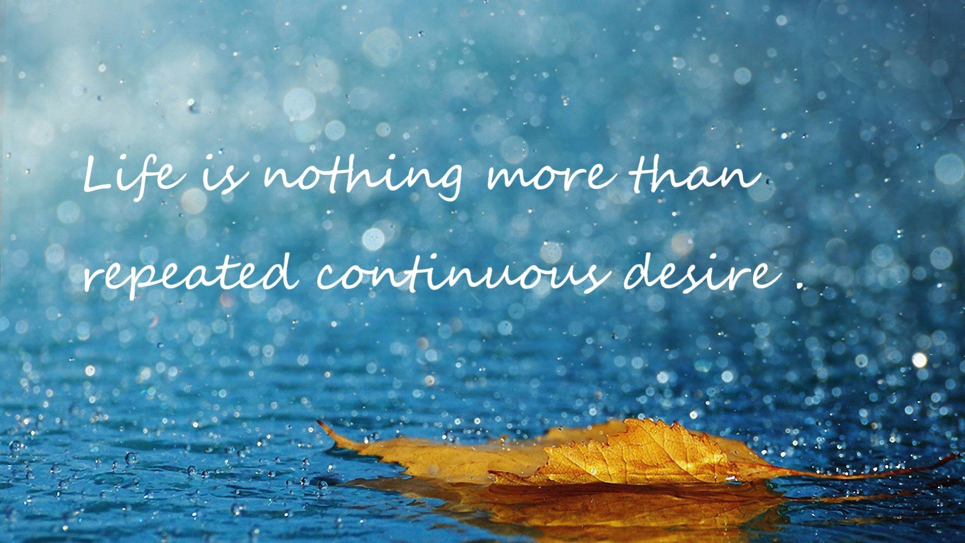 开云体育app官网-篮球特色学校建设推进各地积极打造青训成长沃土，校园篮球特色学校